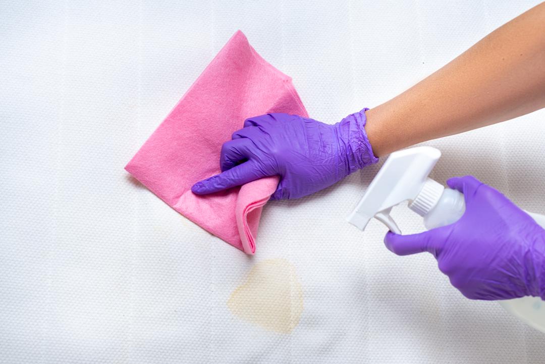 Comment nettoyer l'urine de chat sur un matelas — free download